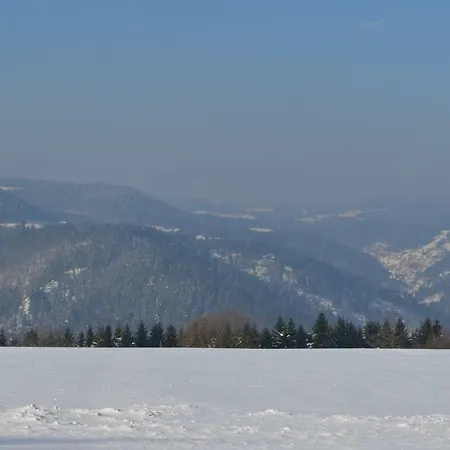 カントリーハウス Sonnenhof シュランベルク